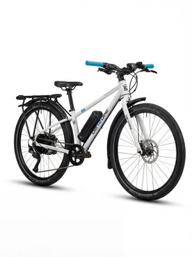 ben-e-bike TWENTYFOUR E-Power Limited Edition ben-e-bike TWENTYFOUR E-Power Limited Edition