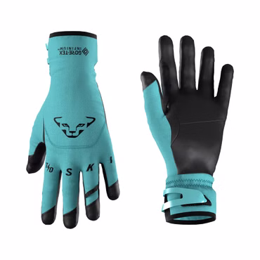 Dynafit Skitouren Handschuhe Tour Infinium