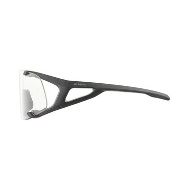 Alpina Sportbrille Hawkeye