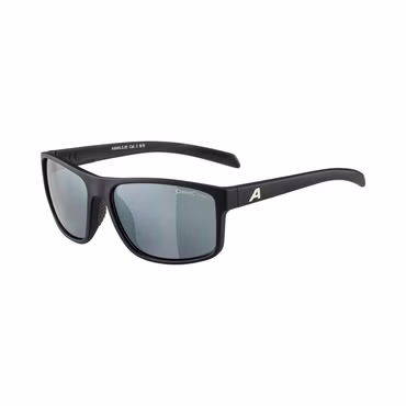 ALPINA NACAN I – Herren-Sonnenbrille
