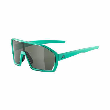 ALPINA Sportbrille BONFIRE