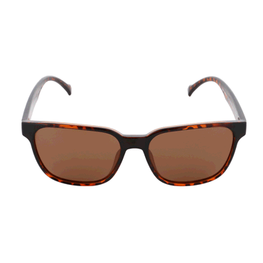RED BULL SPECT EYEWEAR SONNENBRILLE CARY_RX