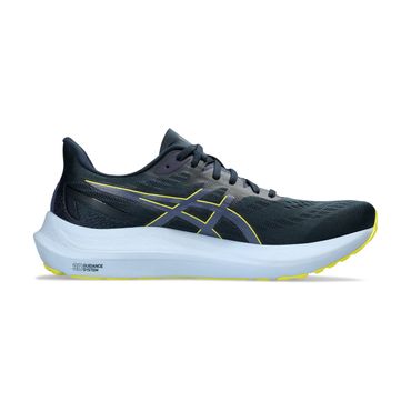 ASICS Herren Laufschuhe GT-2000 12