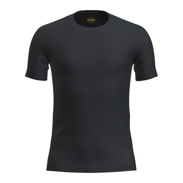 ICEBREAKER Merino Anatomica – T-Shirt Herren