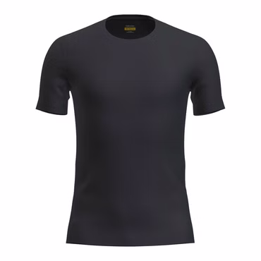 ICEBREAKER Merino Anatomica – T-Shirt Herren