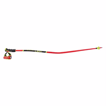 LEKI WCR TBS GS 3D – ALPIN-SKISTOCK FÜR HERREN