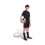 3.jpeg