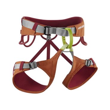 EDELRID Klettergurt Jay IV