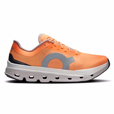 ON Herren Laufschuhe Cloudflow 5