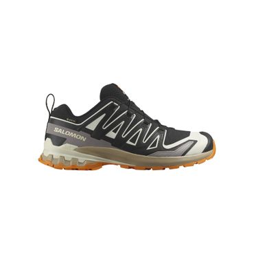 SALOMON Herren Trailrunningschuhe XA PRO 3D V9 GTX