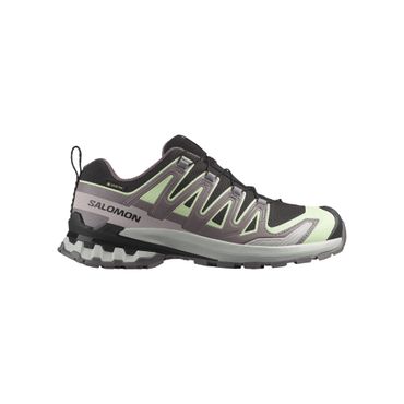 SALOMON Damen Trailrunningschuhe XA PRO 3D V9 GTX W