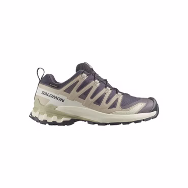 SALOMON Damen Trailrunningschuhe XA PRO 3D V9 GTX W