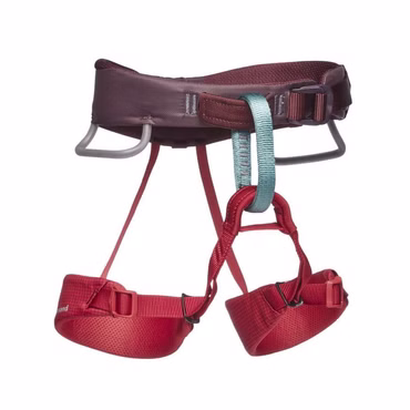 Black Diamond Kinder Klettergurt Momentum Harness