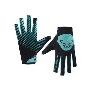 Dynafit Radical 2 Softshell Gloves, Handschuhe Damen und Herren