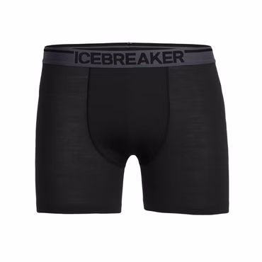 Icebreaker Anatomica, Boxershorts Herren