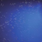 51705300-2.jpg