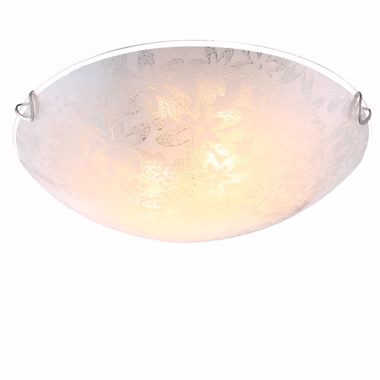 81018149.jpg 81018149.jpg