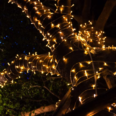 22982-2.jpg 22982-2.jpg