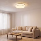 95138-2L.jpg