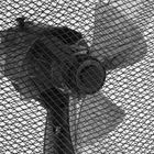 Detail 7