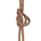 Détail 5