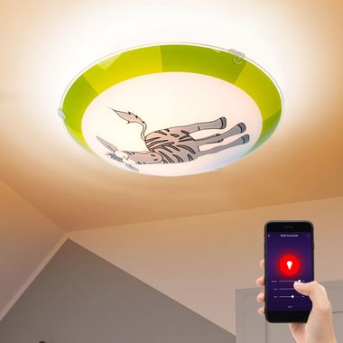 [Bundle] RGB LED ceiling light, remote control, app and voice control