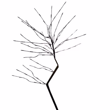 76698-1.jpg 76698-1.jpg