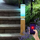 106039-2SMART.jpg