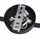 7903ZW-6.jpg
