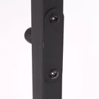 8217ZW-4.jpg