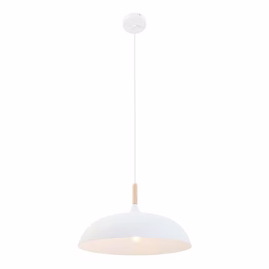 7731W-1.jpg 7731W-1.jpg