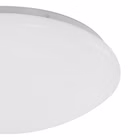 7827W-3.jpg