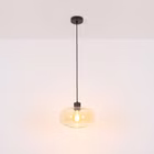 119528-A1.jpg