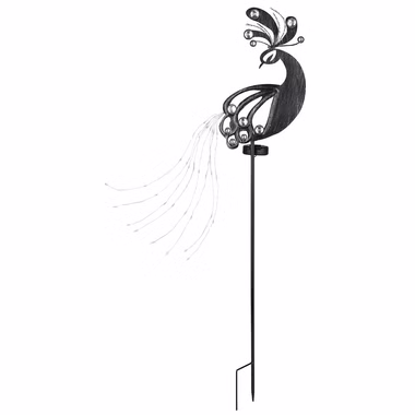 120453-1.jpg 120453-1.jpg