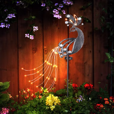 120453-2.jpg 120453-2.jpg