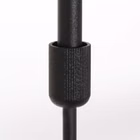 3462ZW-3.jpg