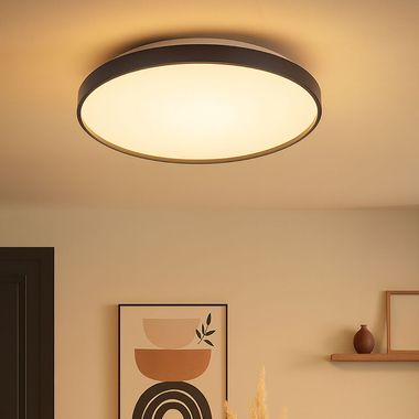 LED ceiling light, anthracite, opal, D 48 cm