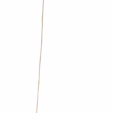 8761GO-3.jpg 8761GO-3.jpg