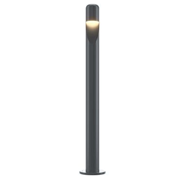 [Bundle] LED floor lamp, outdoor light, metal, graphite, H 60 cm