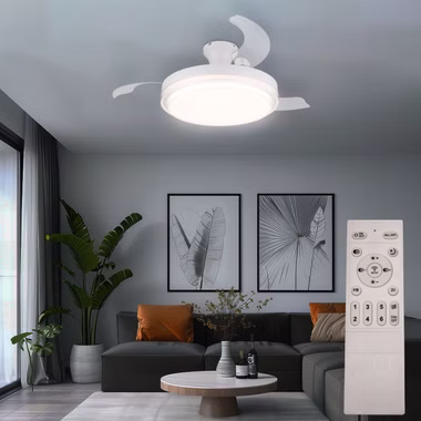 133103-2N.jpg 133103-2N.jpg