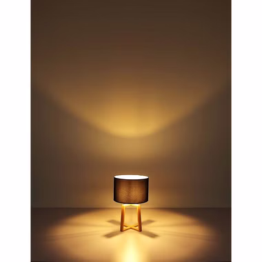 21621-5.jpg 21621-5.jpg