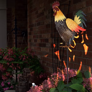 144819-2.jpg 144819-2.jpg