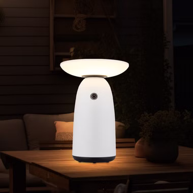 144850-2.jpg 144850-2.jpg