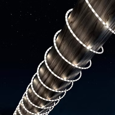 81012150-38961-3-1.jpg 81012150-38961-3-1.jpg