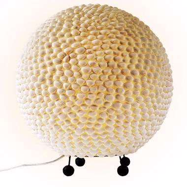 147547-1F.jpg 147547-1F.jpg