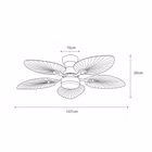 147951-50.jpg