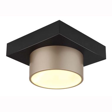 LED Deckenleuchte, schwarz matt, champagnerfarben, L 20 cm