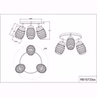 R61573331-4.jpg