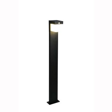 LED-buitenvloerlamp, metaal, zwart, sensor, op batterijen, H 100 cm
