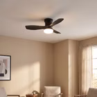 150487-3-ai.jpg